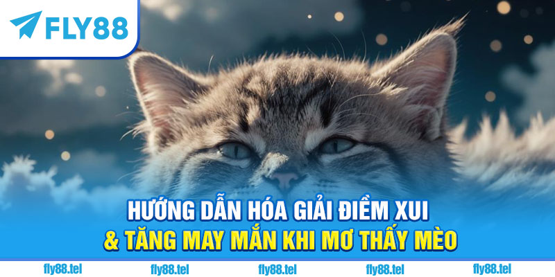 Hướng dẫn hóa giải điềm xui & tăng may mắn khi mơ thấy mèo