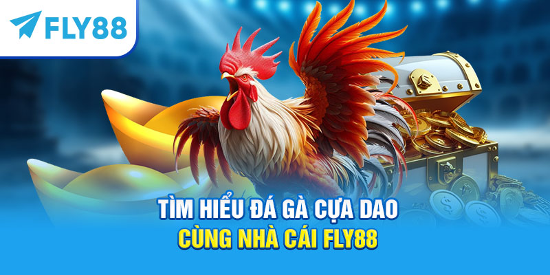 Tìm hiểu đá gà cựa dao cùng nhà cái Fly88